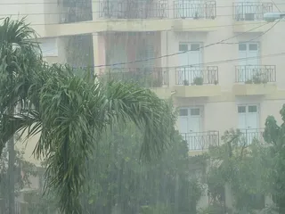 雨，风暴，倾盆大雨，暴雨，颤抖，潮湿，暴雨，暴雨