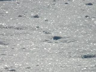 雪，背景光，艾斯克里斯塔勒，深雪，冬天，背景，全帧，没有人