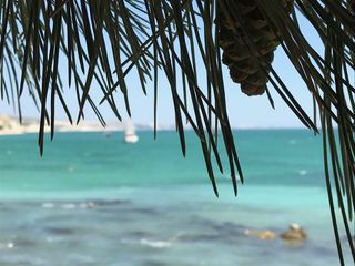 保加利亚, икантълъка, 水, 天蓝色, 蓝色, 自然, 橡子, 松果