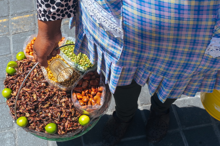 墨西哥，墨西哥城，墨西哥，女性，销售，街头，街头食品，食品