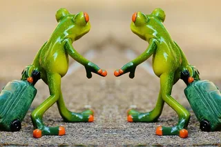 树蛙雕像，提袋，行李袋，青蛙，一起，旅行，行李