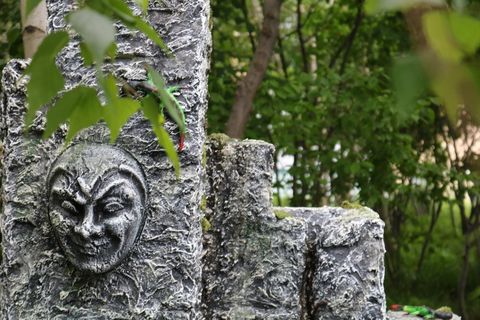 纽约，美国，树叶，树木，纽约市，夏天，爬行动物，石头