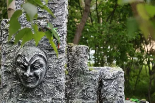 纽约，美国，树叶，树木，纽约市，夏天，爬行动物，石头