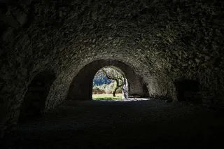 灰色隧道，黑色，裸露，树，近，隧道，入口，黑白