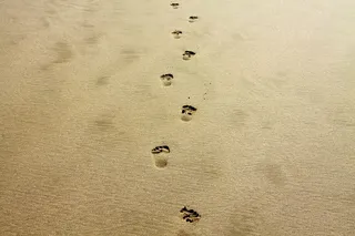 脚，沙子，白天，指纹，脚印，孤独，假期，海岸