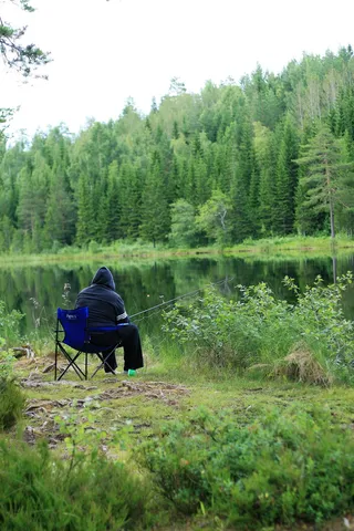 鱼类、自然、渔业、湖泊、瑞典、夏季、景观、水