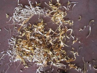 锯末、土壤、纹理、木材、木屑、食物、无人、特写