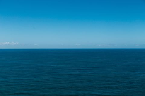美国, 圣地亚哥, Torrey 松树, 蓝天, 天空, 夏季, 背景, 极简主义 美国, 圣地亚哥, Torrey 松树, 蓝天, 天空, 夏季, 背景, 极简主义