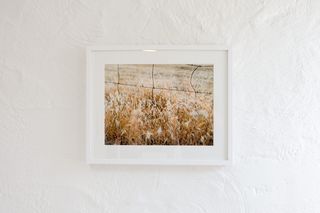 白色，木制，相框，景深，波基，生活，简单，农场