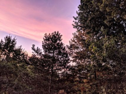 美国，broadview heights，110 tollis pkwy，彩色，彩色天空，克利夫兰，天空，树木