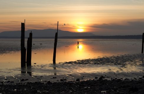 日落，贝灵汉湾，海滨，小角鲨海滩，天空，水，自然之美，风景-自然