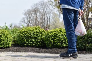 站在灌木丛附近的人