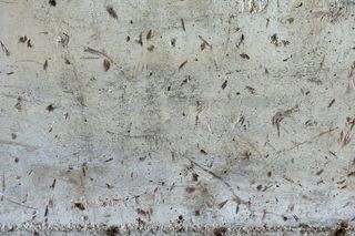 背景、纹理、墙、飞溅物、垃圾、破损、图层、设计