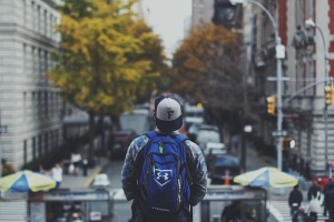 人、站、路、树、建筑、选择性、焦点、照片