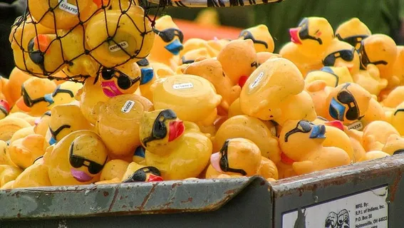 橡胶，小鸭，优胜者，夏天，许多，颜色，食物，食物和饮料