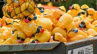 橡胶，小鸭，优胜者，夏天，许多，颜色，食物，食物和饮料