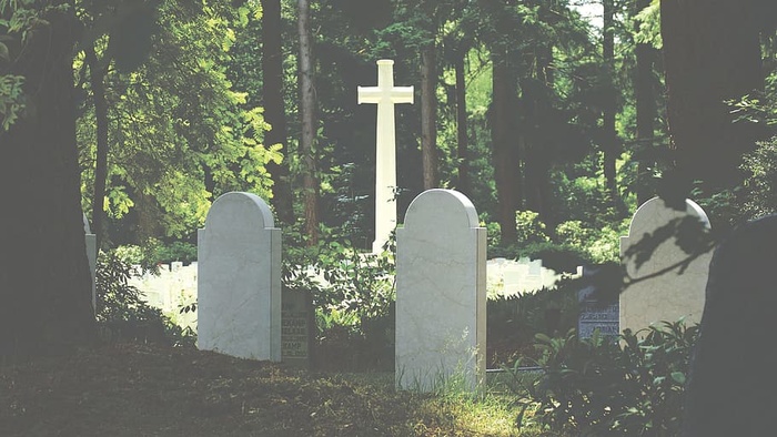 森林、树木、草、树叶、墓地、墓地、十字架、日光