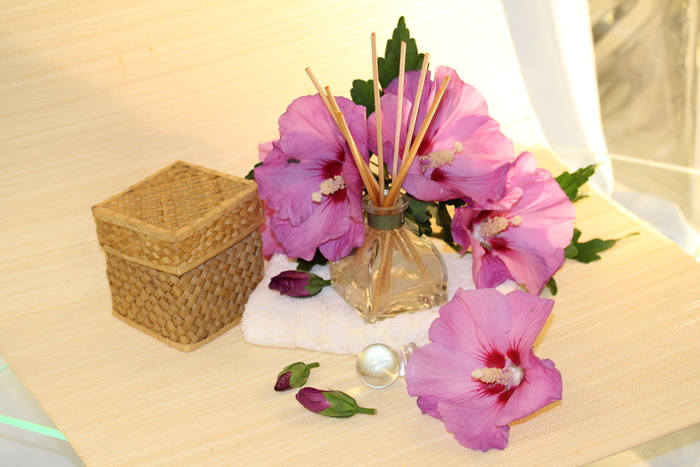粉色, 芙蓉花, 米色, 纺织, 健康, 香味, 花瓣, 开花