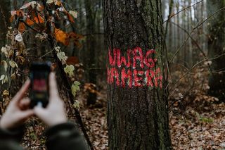 秋天在雾天向森林走去