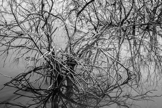 黑白、黑白、拉古纳、湖泊、渔业、公园、自然、景观