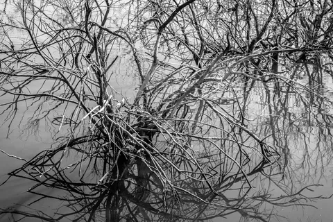 黑白、黑白、拉古纳、湖泊、渔业、公园、自然、景观 黑白、黑白、拉古纳、湖泊、渔业、公园、自然、景观