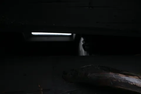 桑拿、烟雾桑拿、黑暗、诡异、恐怖、凉爽、寒冷、黑色