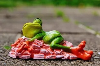 金钱抚慰，睡眠，一堆钱，青蛙，身材，有趣，可爱，装饰