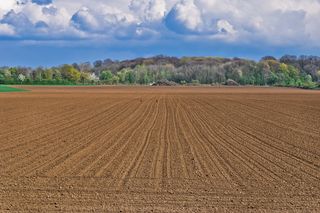 景观，田野，天空，自然，云，农业，乡村，地平线