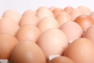 鸡肉，小鸡，胆固醇，特写，概念，奶制品，复活节，吃