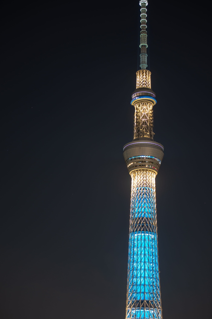 日本，住田区，东京天树，天树，夜晚，建筑，建筑结构，高