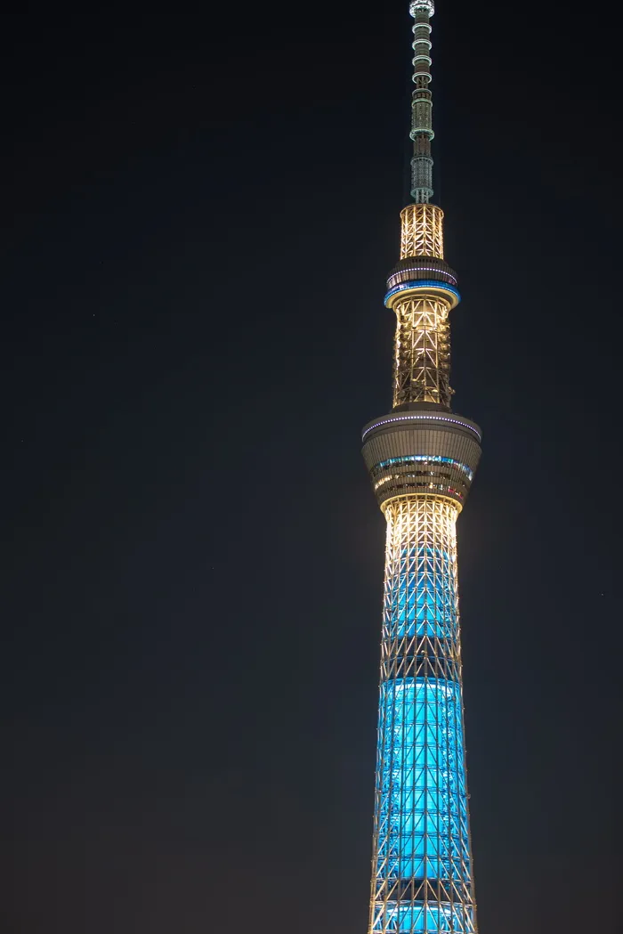 日本，住田区，东京天树，天树，夜晚，建筑，建筑结构，高