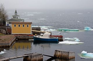 水、海、旅游、港口、船、纽芬兰、加拿大、纽芬兰国王点