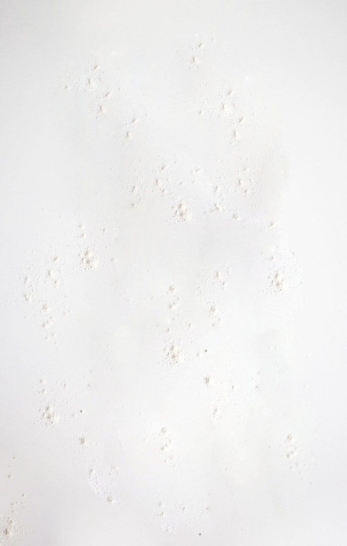 背景，全画幅，室内，白色，无人，纹理，工作室拍摄，特写