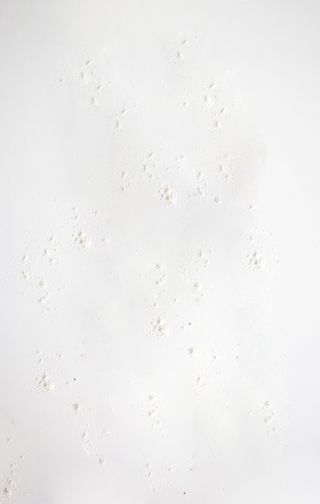 背景，全画幅，室内，白色，无人，纹理，工作室拍摄，特写