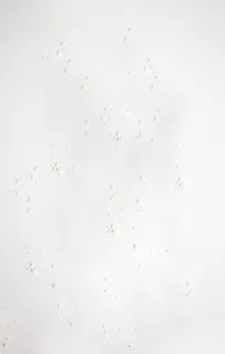 背景,全画幅,室内,白色,无人,纹理,工作室拍摄,特写 背景,全画幅,室内,白色,无人,纹理,工作室拍摄,特写