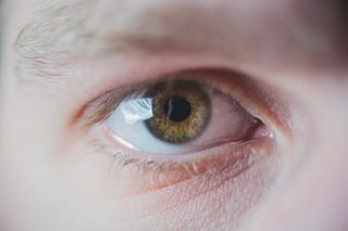 眼, 感官知觉, 菜鸟图库, 人眼, 眼力, 特写, 身体部位, 睫毛