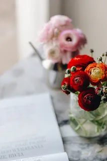 2018年《Vogue波兰2》与可爱的毛茛花