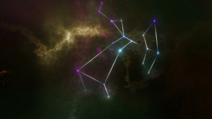 十二生肖，占星术，插图，占星术，标志，符号，恒星，收藏