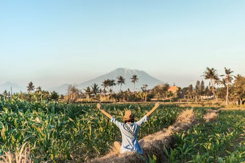 植物，植被，自然，户外，人，人，田地，盆栽