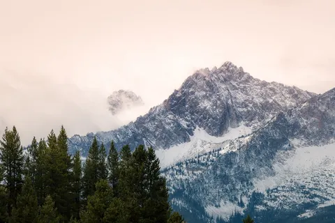山和树 山和树