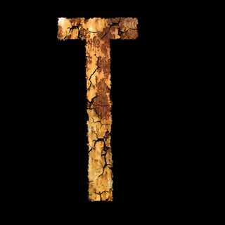 字母，不锈钢，字体，模块，t，无人，旧，特写