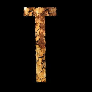 字母，不锈钢，字体，模块，t，无人，旧，特写