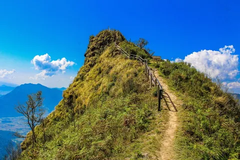山景 山景