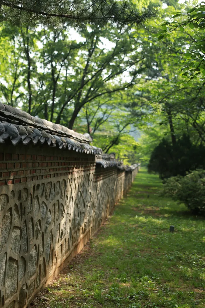 木头，墙，石头，石墙，背景，栅栏，建筑，野生