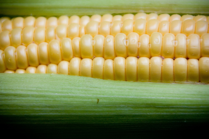 玉米，甜玉米，蔬菜，健康，健康，食物，午餐，生长