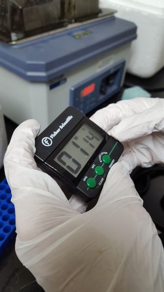 实验室、科学、科学家、研究、实验、测试、设备、生物学