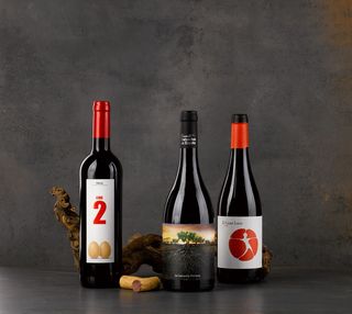 葡萄酒，很多葡萄酒，一箱葡萄酒，赠品，礼物，圣诞篮，原创，很多圣诞节