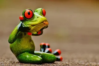 青蛙玩具人偶，青蛙，人偶，搞笑，厚颜无耻，伸出舌头，可爱，装饰