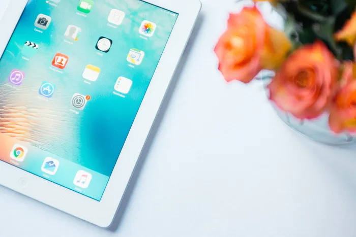 iPad和玫瑰