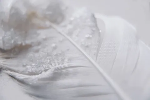 闪耀, 闪光, 闪闪发光, 宏, 关闭, 冬天, 闪光的, 中性 闪耀, 闪光, 闪闪发光, 宏, 关闭, 冬天, 闪光的, 中性